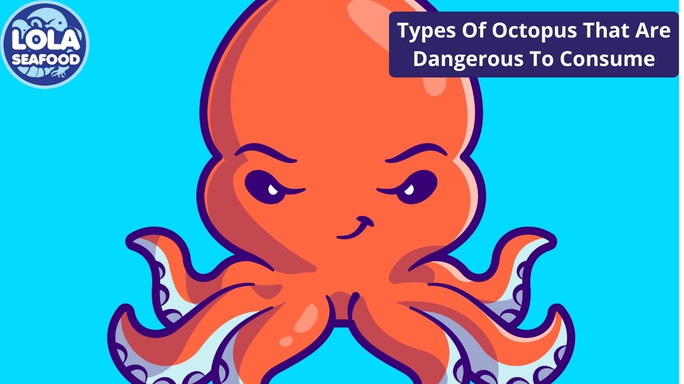 Types Of Octopus That Are Dangerous To Consume